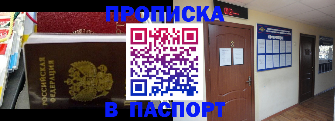 прописка гарантия в Заволжске